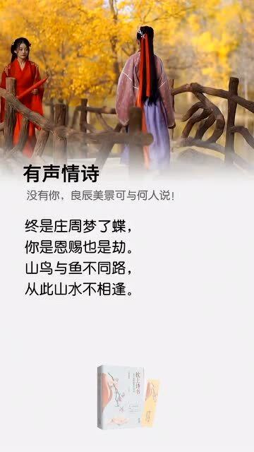 终是庄周梦了蝶你是恩赐也是劫山鸟与鱼不同路从此山水不相逢