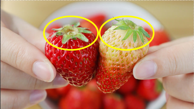 草莓有没有打激素?扫一眼果蒂的部位就知道,以后别再买错了