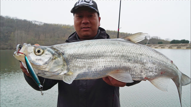 鲌客超投搞定!怎么操控呢?