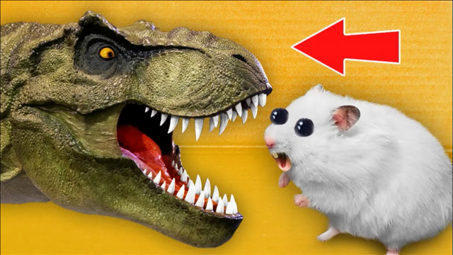 仓鼠迷宫新挑战霸王龙出现了仓鼠拿出火箭筒