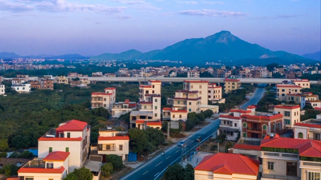 高州分界镇修建储良母树公园聚力打造中国金牌龙眼之乡和世界储良龙眼