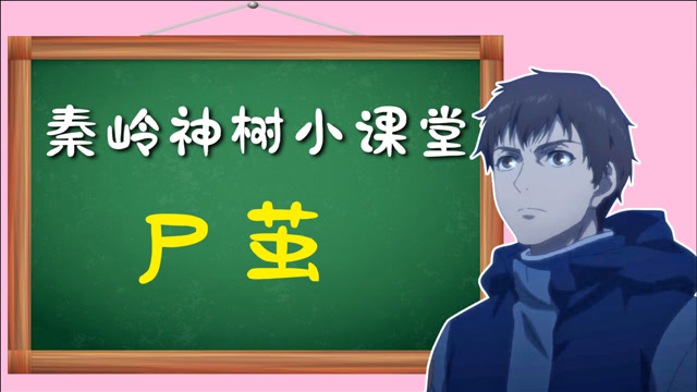 《秦岭神树》小课堂13:尸茧是什么?有真实原型吗?