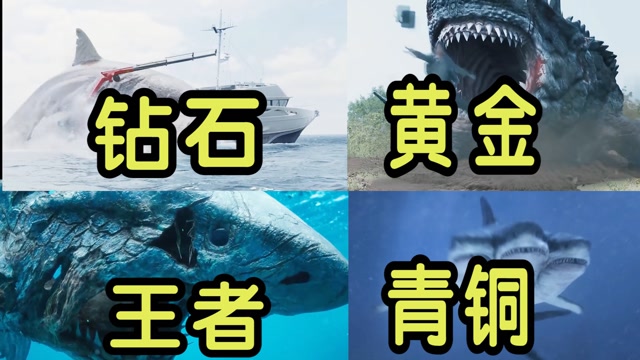 盘点鲨鱼的段位四头鲨鱼只是青铜王者鲨鱼可以在陆地上行动