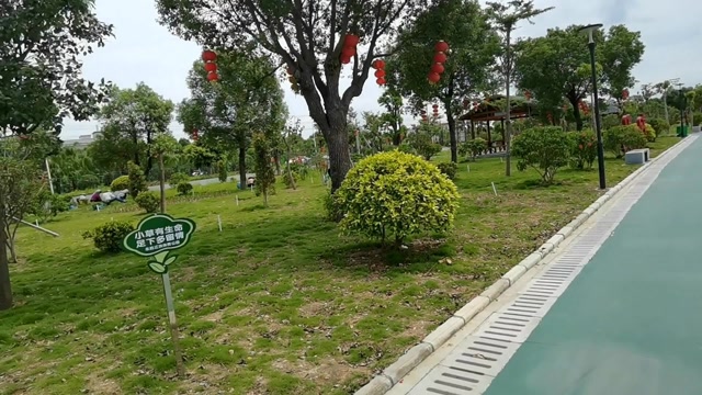 中山东升镇永胜滨江公园有新发现