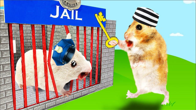 机灵的小仓鼠:仓鼠小黄越狱,还把仓鼠警察关进了牢房