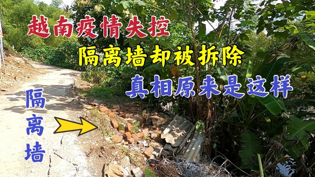 中越边境越南疫情失控隔离墙却被拆除真相原来是这样