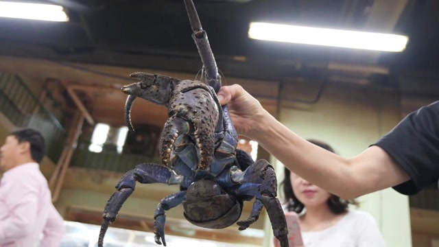 近1000元一只的椰子蟹,煮熟后装了满满一整盘,太诱人了