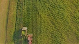 Video thumbnail photo