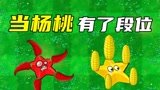 植物大战僵尸：当杨桃有了段位，青铜杨桃也太沙雕了吧！