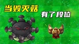 植物大战僵尸：当毁灭菇有了段位，青铜就已经超级强大！