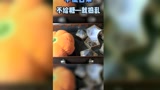 明天就是万圣夜了，你准备好糖果了吗？#哈利波特#哈利波特魔法觉醒
