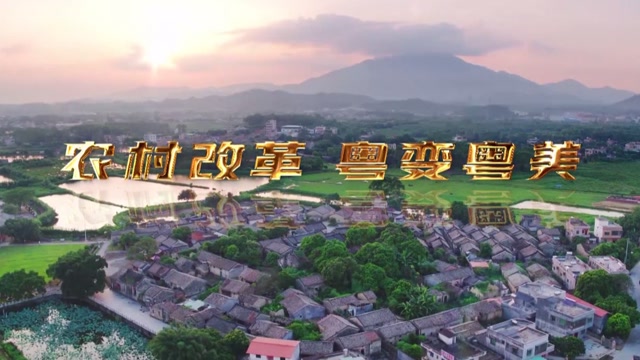 中央新影发现之旅频道播出纪录片《农村改革 粤变粤美》_腾讯新闻