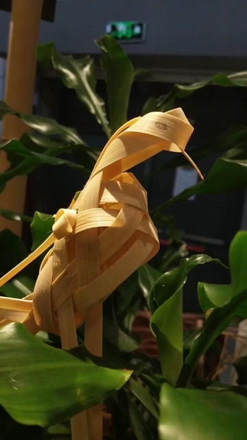 手把手教你做竹编小鸟,一看就会,非常简单