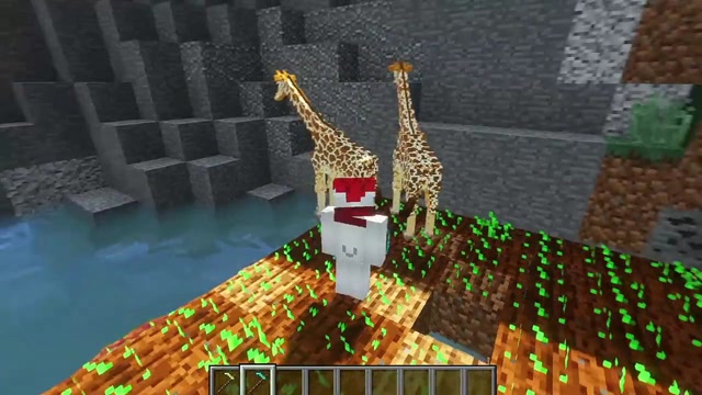 我的世界盘点不同人碰到长颈鹿!这是什么沙雕剧情!