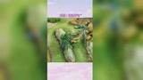 王者荣耀：这波不亏，绝对不亏