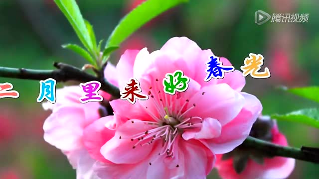 二月里来好春光
