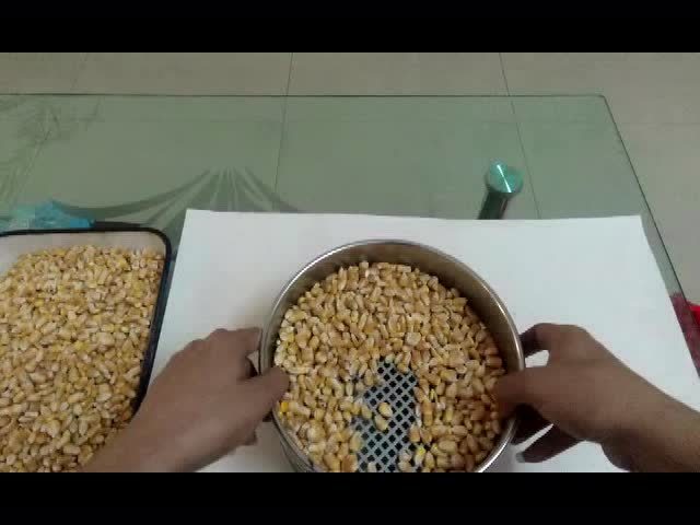 汇海集团蛇口码头东北玉米检测实验