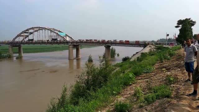 临清25日先锋桥附近水情