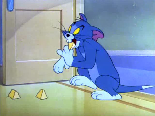 猫和老鼠 汤姆被主人打傻了 瞬间变成了一只老鼠