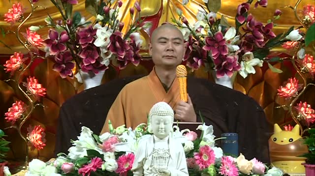 邢台净土寺万一法师开示