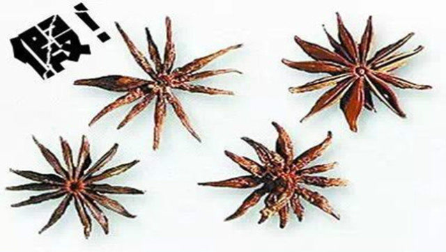 这样的八角千万买有毒!吃了会致命,教你辨别毒八角