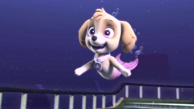 汪汪队立大功人鱼狗带着天天和陆马来到另一个人鱼狗面前