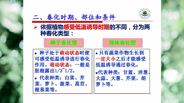 微课29--春化作用与蔬菜的生殖生长--园艺--肖雪梅