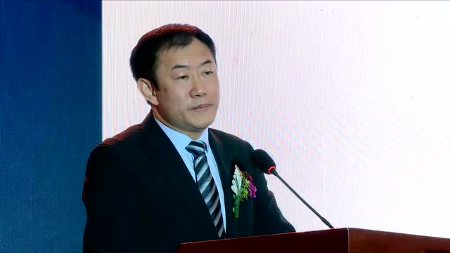 2017国际手机产业领袖峰会——京东方刘晓东