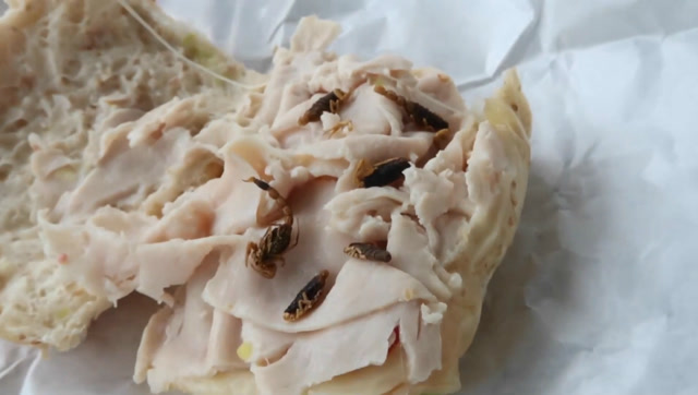 男子将蝎子放到女友面包中,女友吃完发现后竟以为自己会被毒死