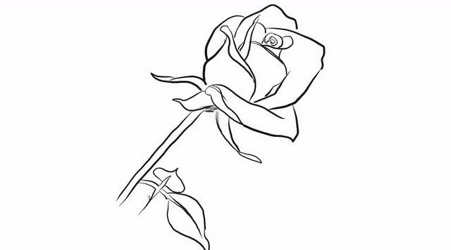 玫瑰花幼儿亲子简笔画宝宝轻松学画画