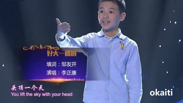 少年李正康现场演唱好大一棵树徐莉采访郑渊洁点评