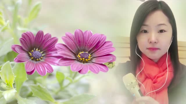 拥抱你离去-清清婉儿