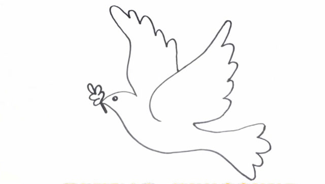 早教简笔画:简单实用的和平鸽简笔画,和宝宝一起画起来吧