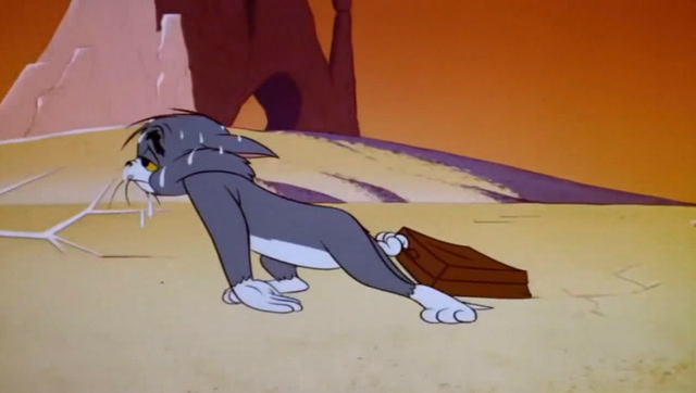 汤姆和杰瑞,杰瑞把汤姆欺负坏了,汤姆离家出走了