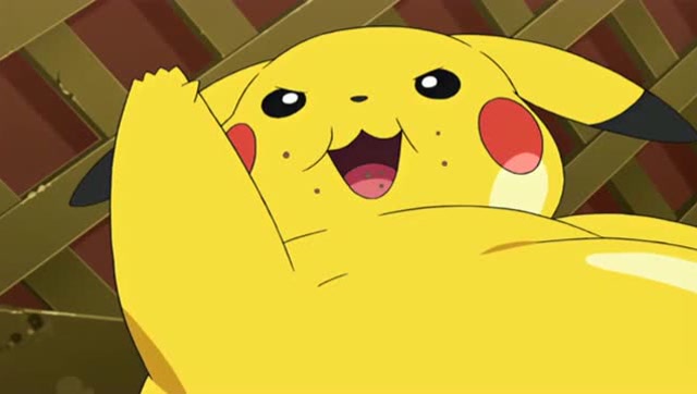 皮卡丘太贪吃了,胖的都快认不出来了