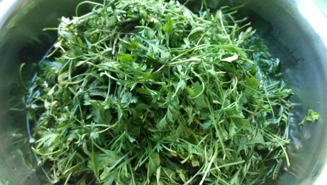 四月这种菜比肉好,美味又保健!