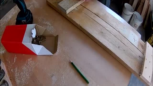 老外设陷阱抓猫