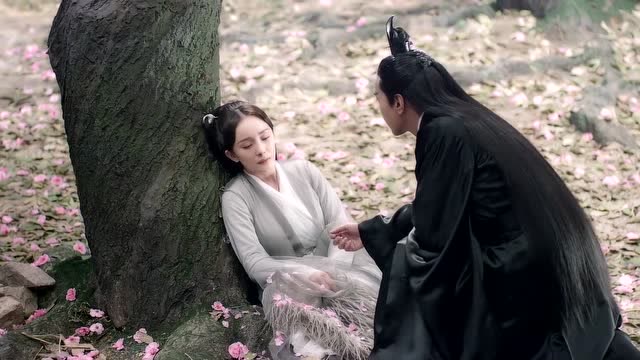 白浅在十里桃林睡着了,老是作者关于夜华的梦境!