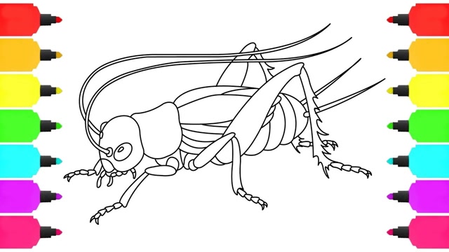 亲子简笔画:凶猛蟋蟀画画