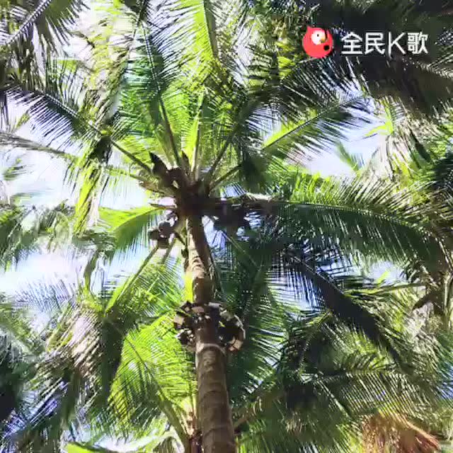 【潮剧】天赐佳人结凤俦《曹翠娥》