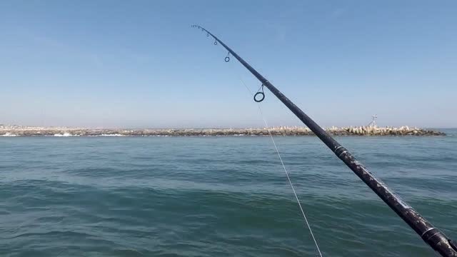 路亚爽歪歪之倒吊是这样玩的哈