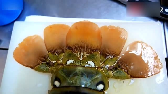 日本街头美食 巨大彩虹龙虾 日本海鲜