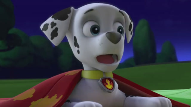 汪汪队立大功:准备在星空下睡觉的毛毛被叫醒