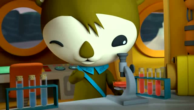 海底小纵队:有个新生物在和谢灵通打招呼呢