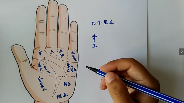 手掌的九个星丘看你知道几个呢