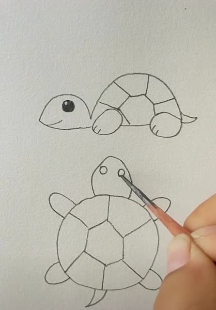 两只乌龟简笔画图片