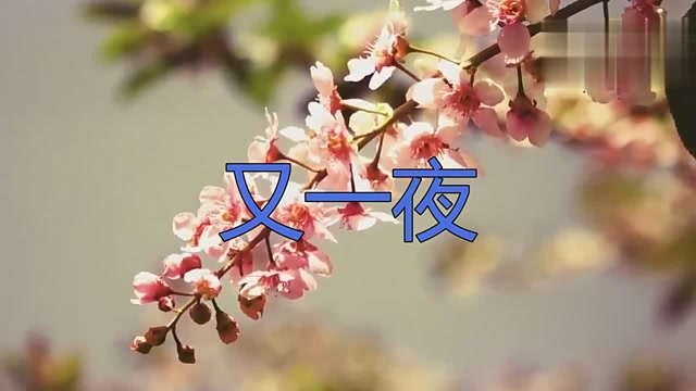 谢军嗓音动听!一首歌曲《又一夜》,宛如天籁