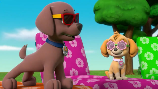 狗狗巡逻队的冒险故事 汽车玩具汪汪队立大功