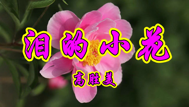 经典情歌,高胜美一首《泪的小花》好听醉人