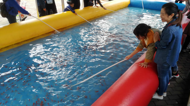 大龄儿童欢乐多!年轻美女网鱼抢镜 20分钟收获数十条